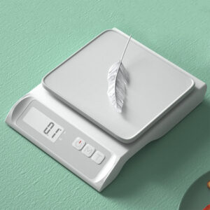 Digital Food Scale